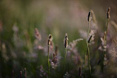 《漫威 vs. 卡普空格斗合集：经典街机》销量突破100万套！卡普空发图庆祝